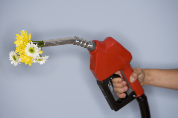 Future-of-Sustainable-Energy Future-of-Sustainable-Energy