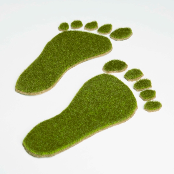 What is Living Green? What is Living Green?